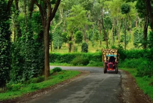 Karnataka (Coorg, Wayanad)
