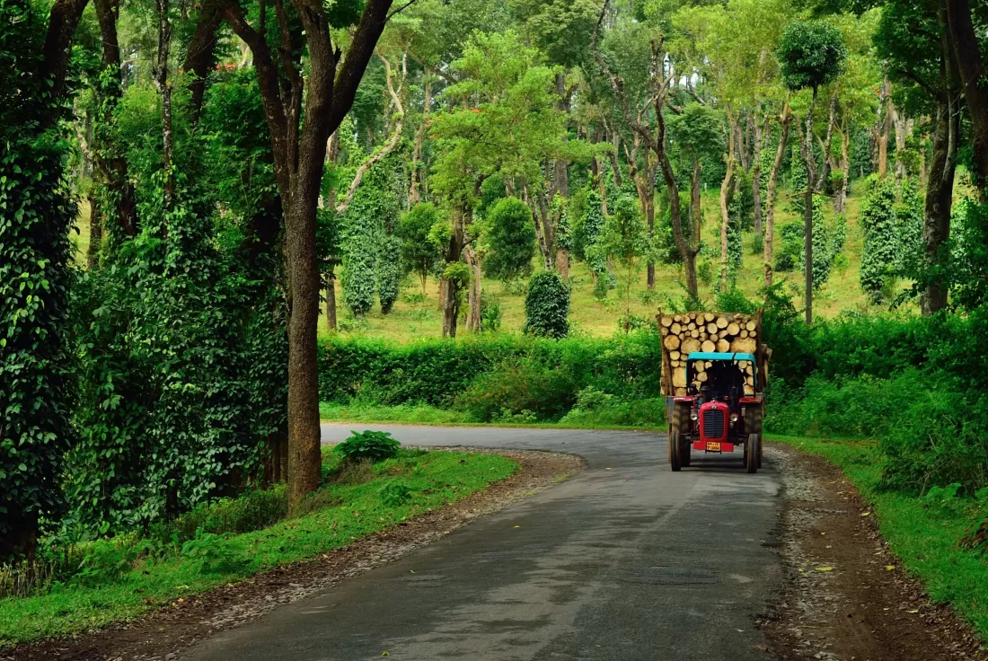Karnataka (Coorg, Wayanad)
