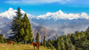 Amazing Uttarakhand