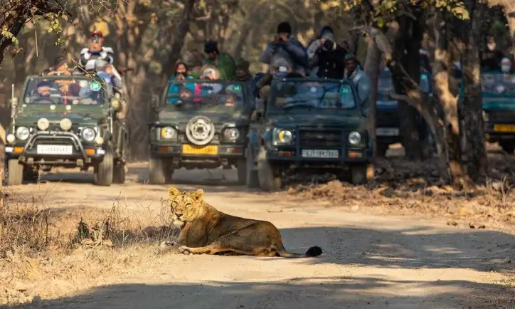 Gir Wildlife Adventure & Diu Coastal Retreat