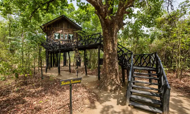 Jabalpur & Bandhavgarh Wildlife and Heritage Tour