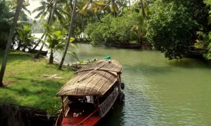 Kerala Coastal & Cape Adventure