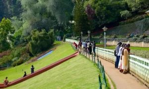 Ooty & Mysore Delight